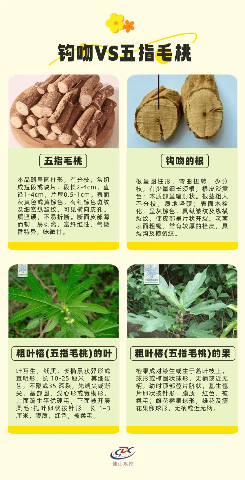 电子竞技
_一锅汤放倒佛山一家6口 警惕：此物剧毒电子竞技
！