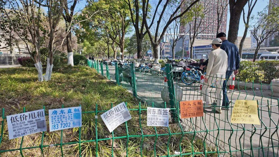 皇冠信用网足球代理
_一二线城市房租普降皇冠信用网足球代理
，房东主动降200留我